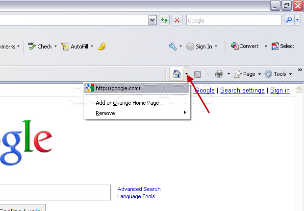 Microsoft Internet Explorer Home Page Download